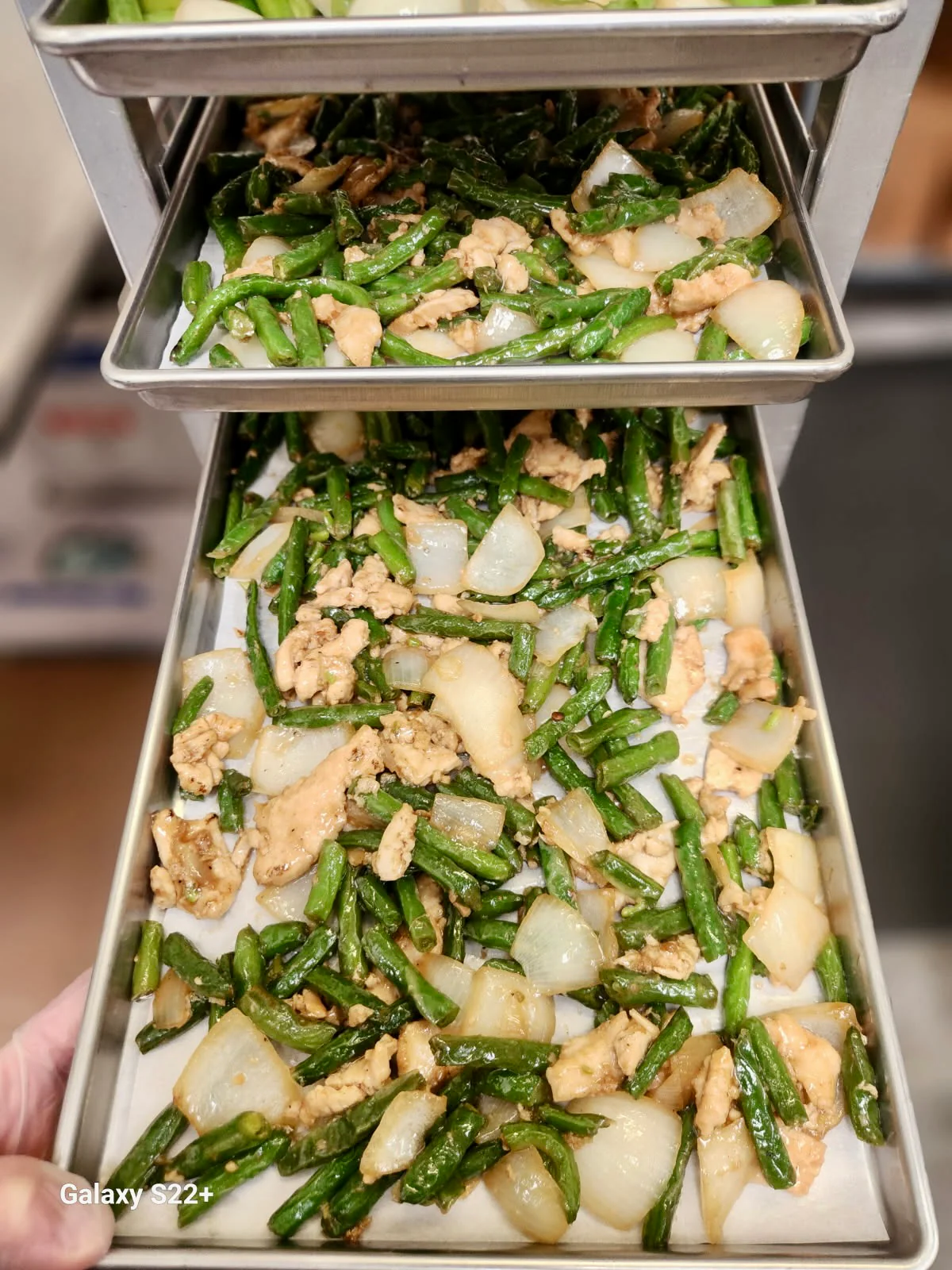[PRE-SALE] Freeze Dried Gourmet American-Chinese Inspired Fully Prepared String Bean Chicken Entree - Image 7