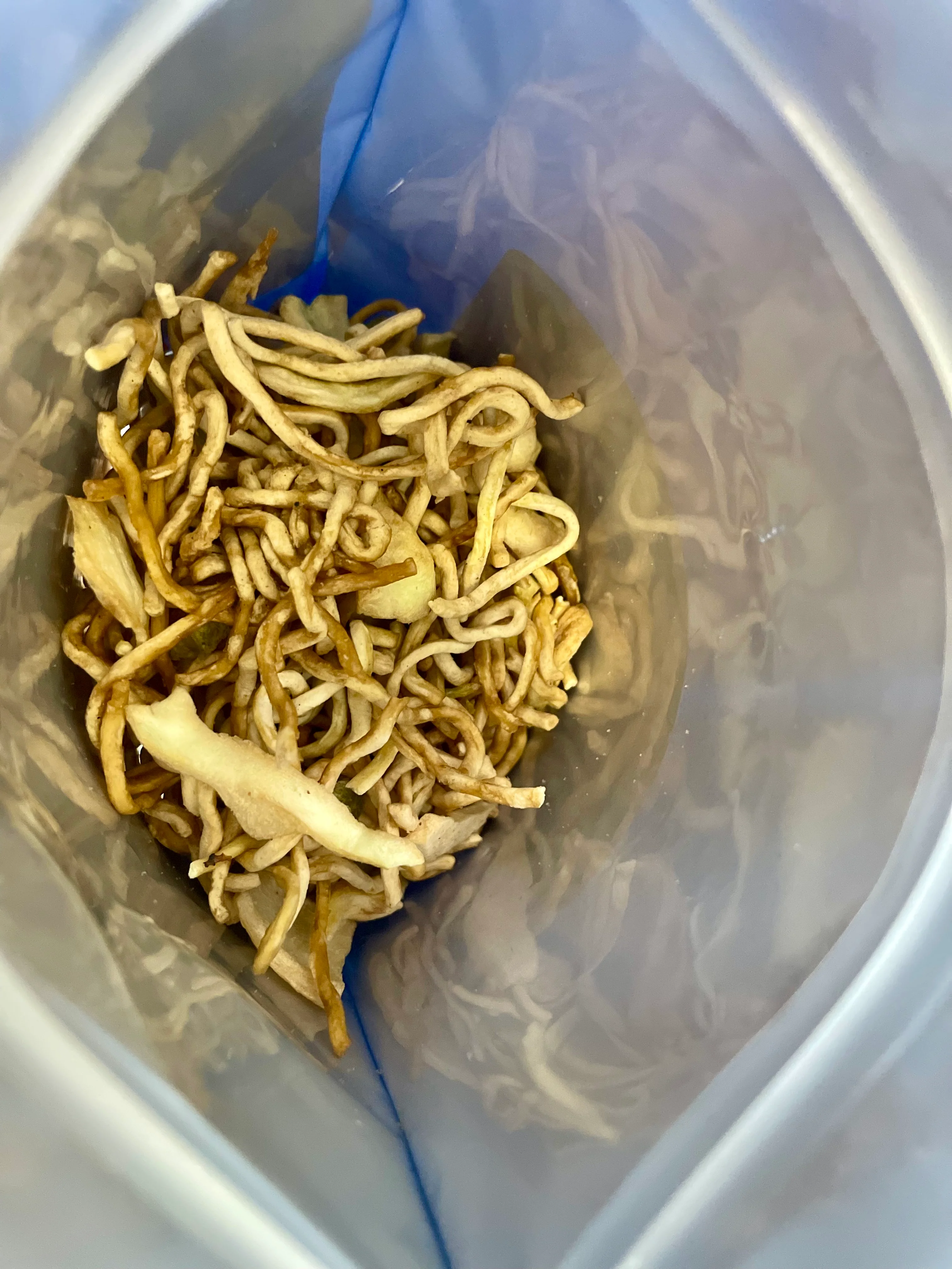 [PRE-SALE] Freeze Dried Gourmet American-Chinese Inspired Fully Prepared Chow Mein - Image 4