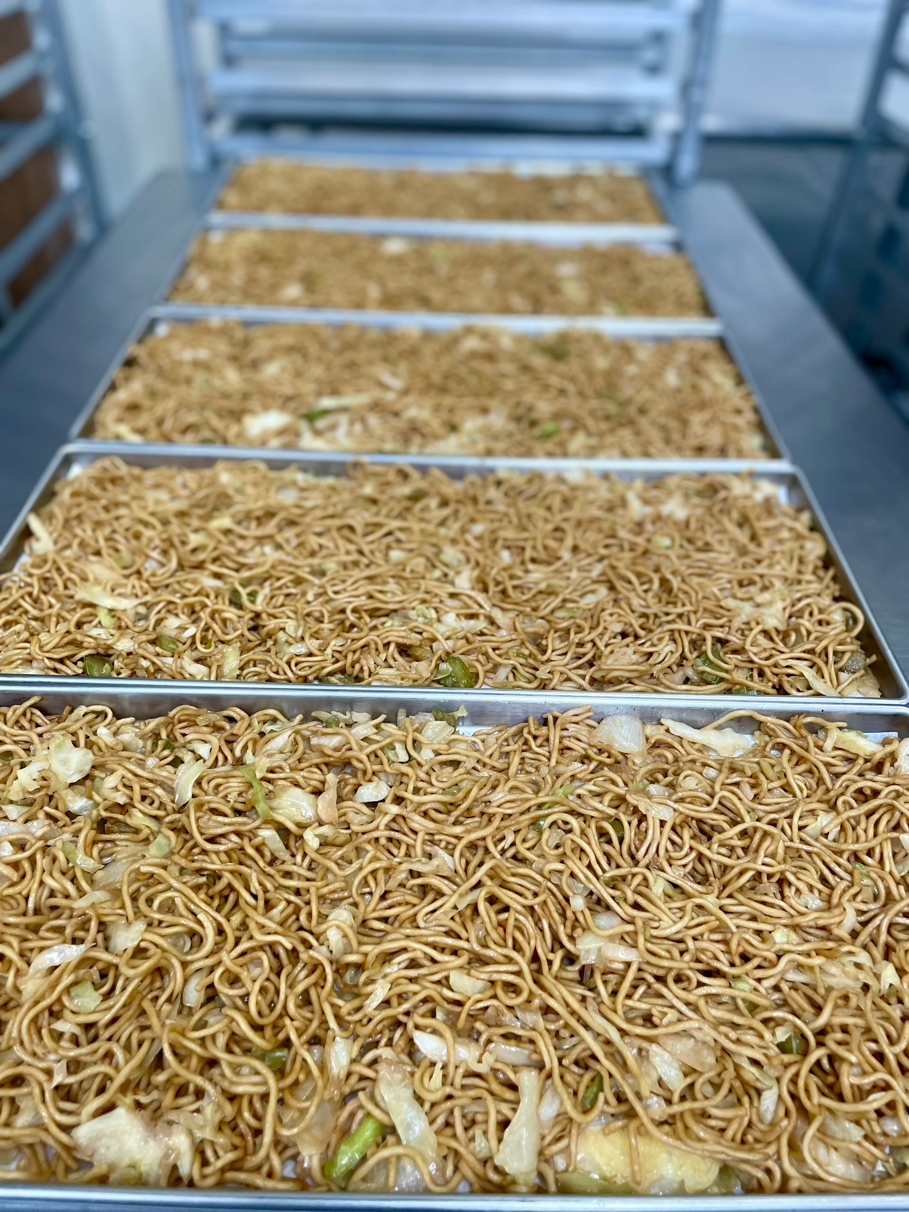 [PRE-SALE] Freeze Dried Gourmet American-Chinese Inspired Fully Prepared Chow Mein - Image 5