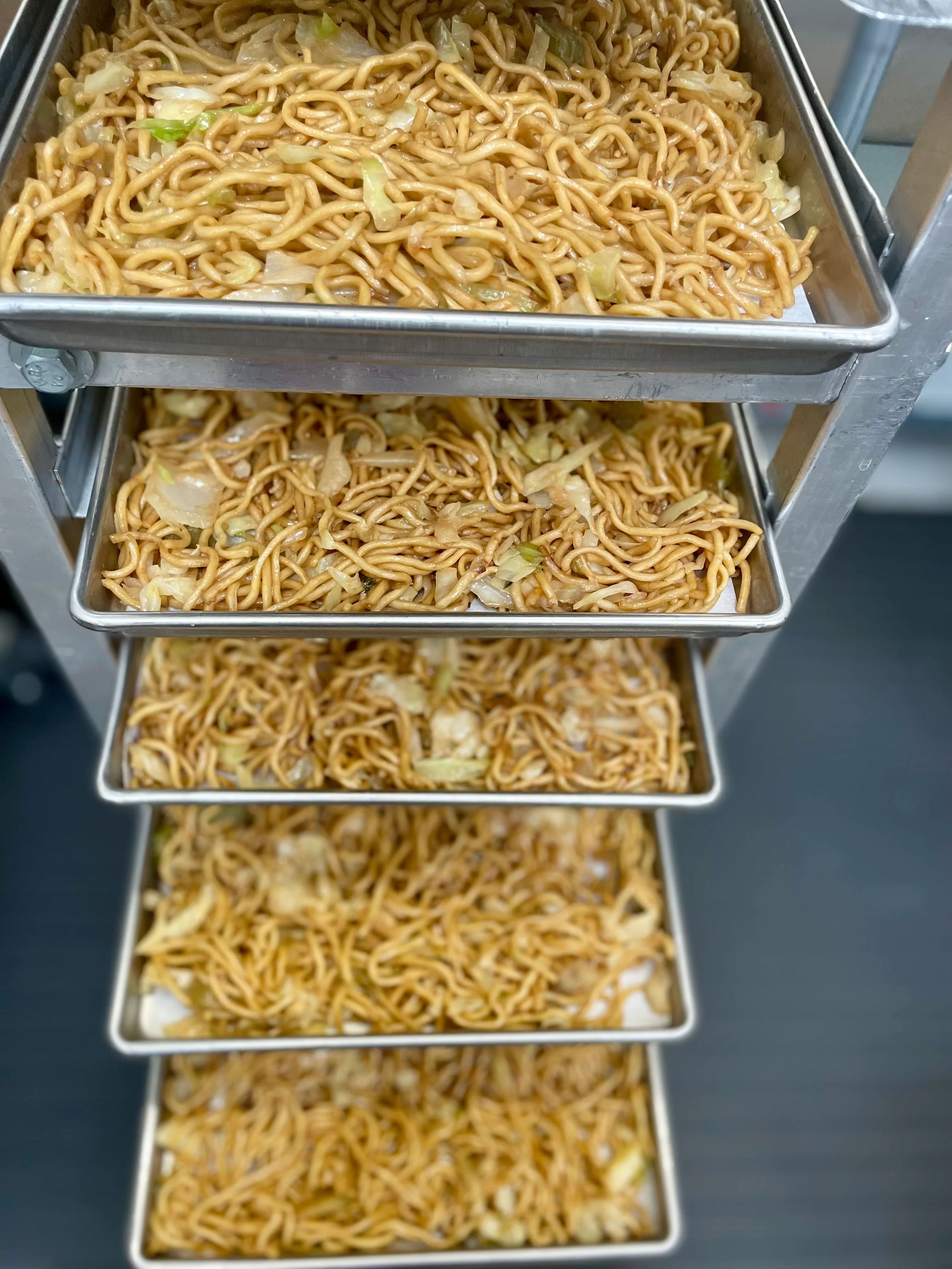 [PRE-SALE] Freeze Dried Gourmet American-Chinese Inspired Fully Prepared Chow Mein - Image 6