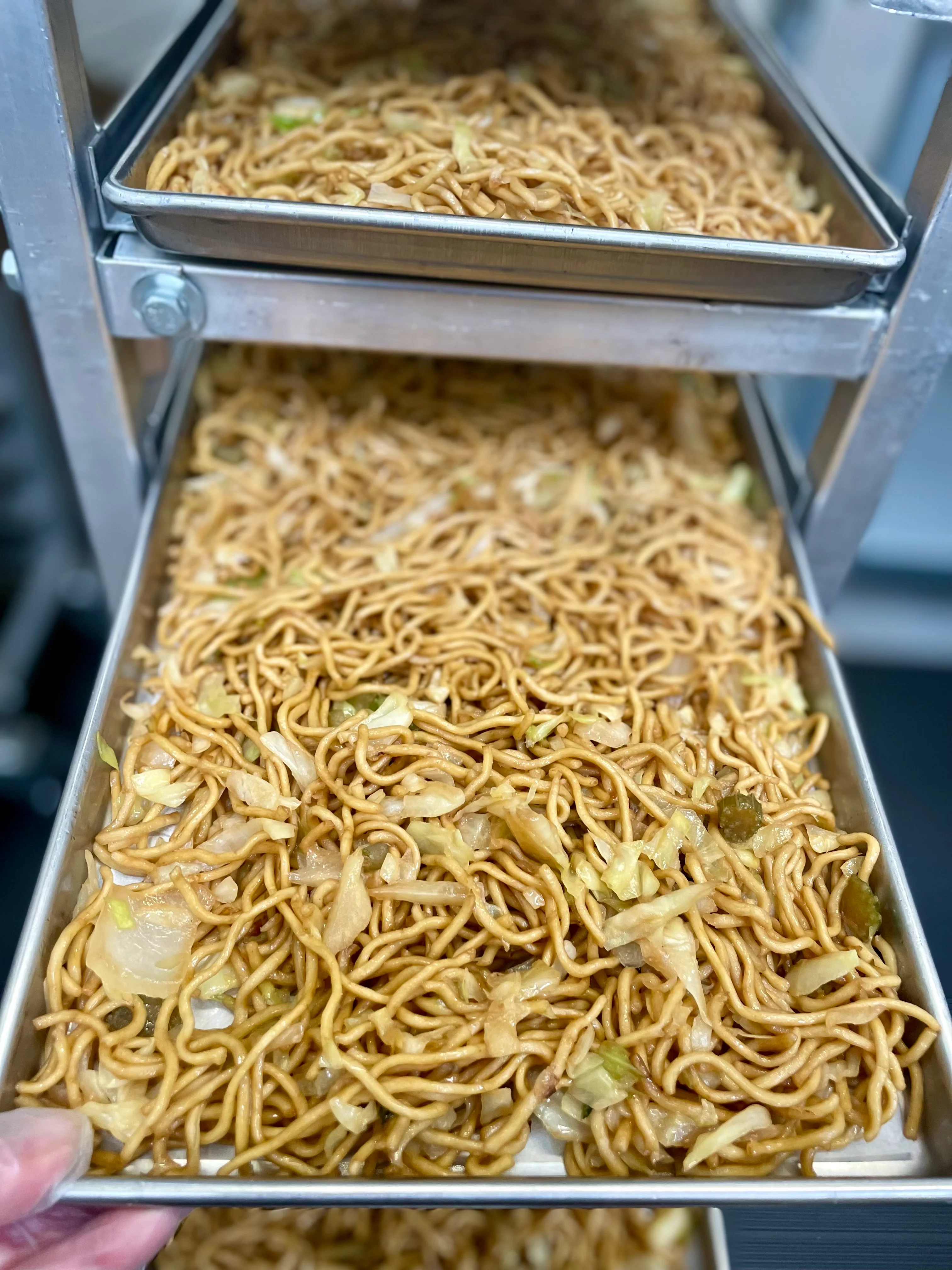 [PRE-SALE] Freeze Dried Gourmet American-Chinese Inspired Fully Prepared Chow Mein - Image 7