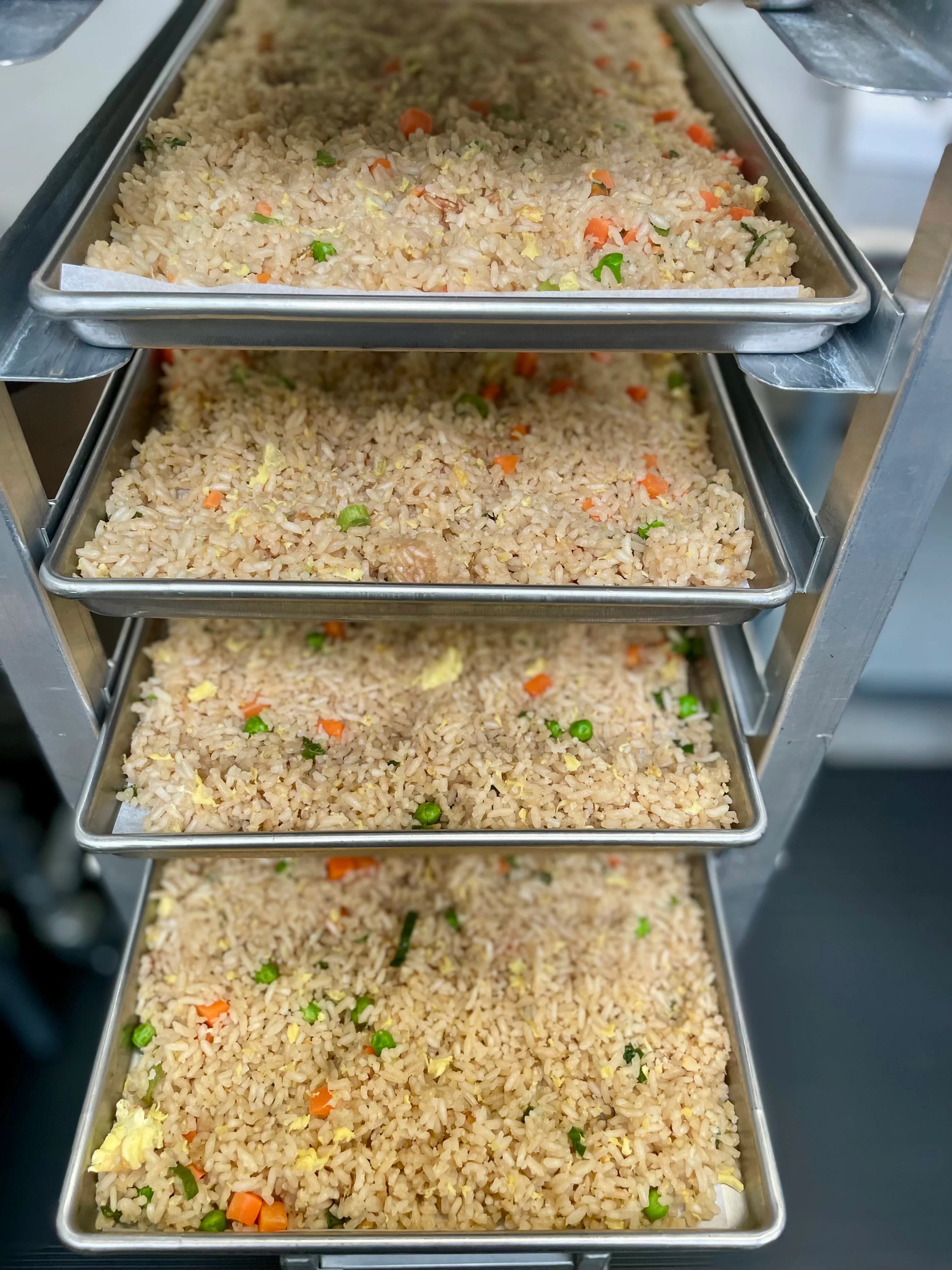 [PRE-SALE] Freeze Dried Gourmet American-Chinese Inspired Fully Prepared Fried Rice - Image 6