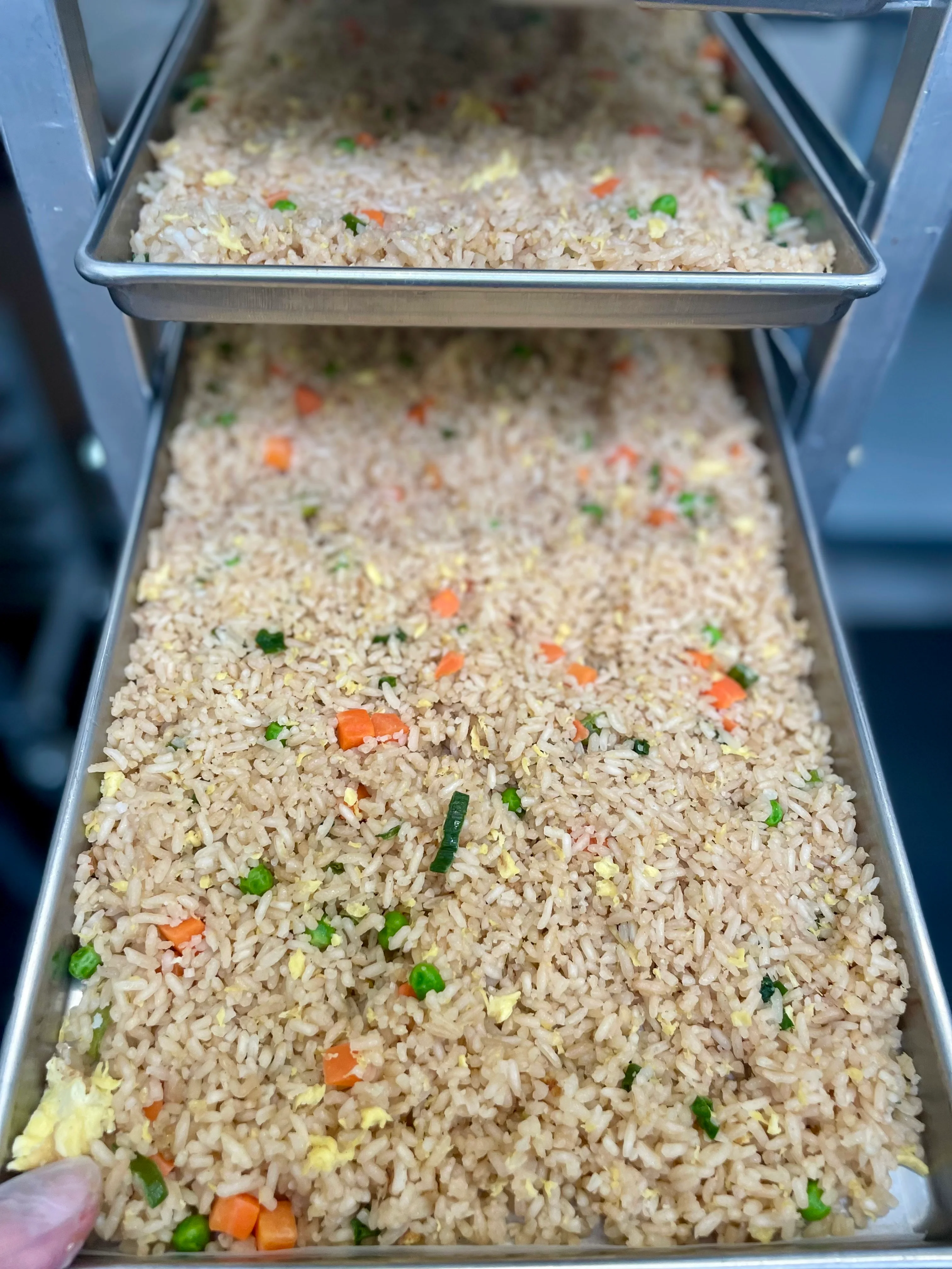 [PRE-SALE] Freeze Dried Gourmet American-Chinese Inspired Fully Prepared Fried Rice - Image 7