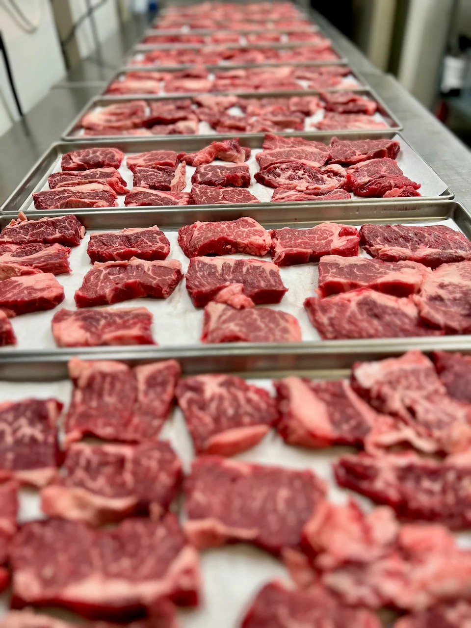 Dried Uncooked Boneless Beef Short Ribs - Image 8