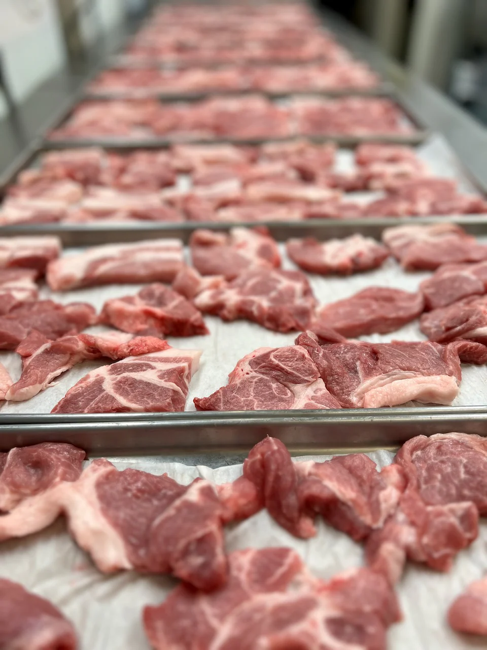 Dried Uncooked Boneless Country-Style Pork Ribs - Image 6