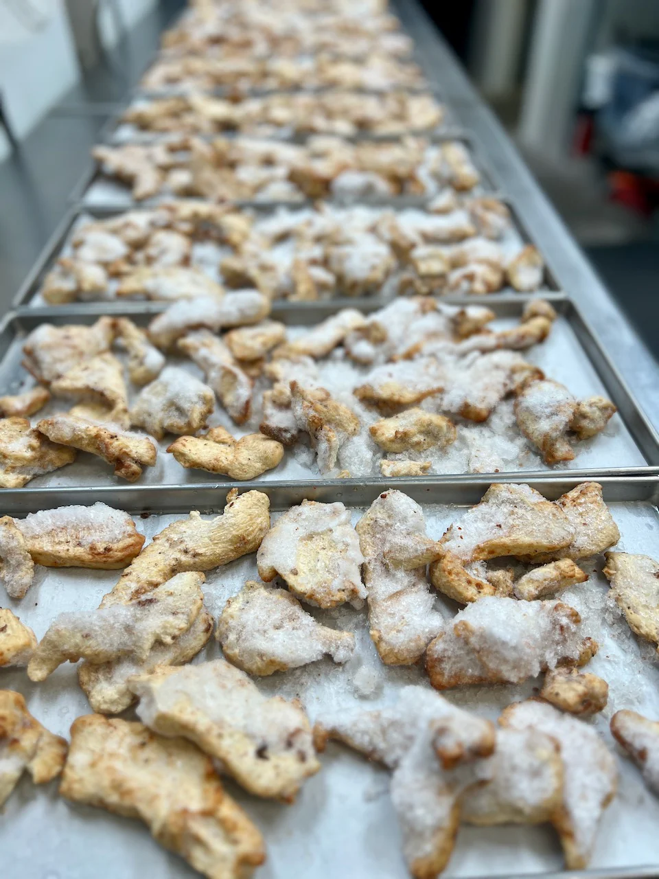 Freeze Dried Fully Cooked Seasoned Chicken Strips - Image 5