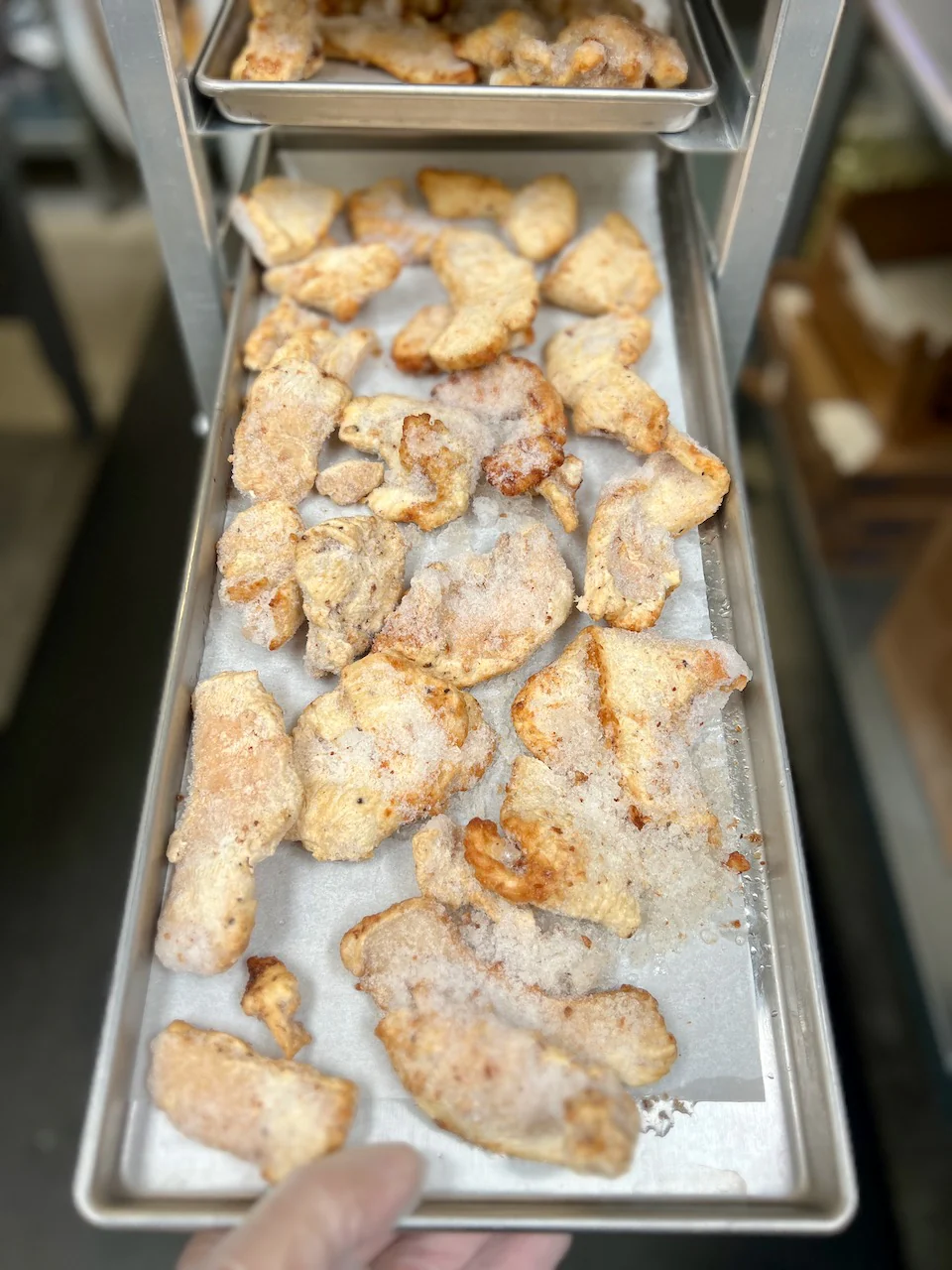 Freeze Dried Fully Cooked Seasoned Chicken Strips - Image 7
